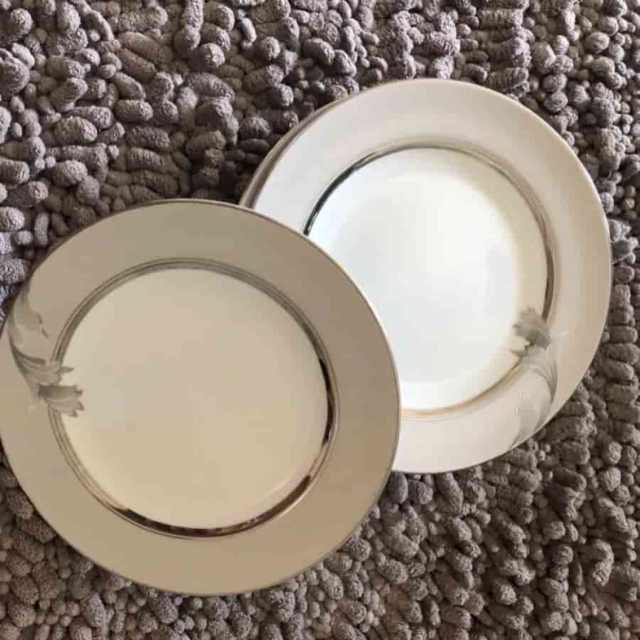 تصویر 1 از پیش دستی آرکوپال ترکیب ظرافت و استحکام